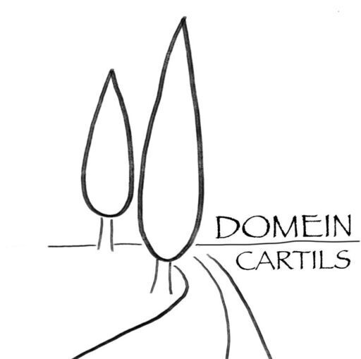DOMEIN CARTILS